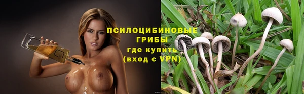 спиды Медногорск